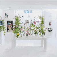 exhibition fashion illustration GIF by SHOWstudio