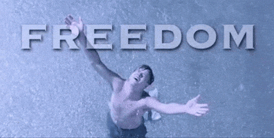 Describe Schools Out GIF