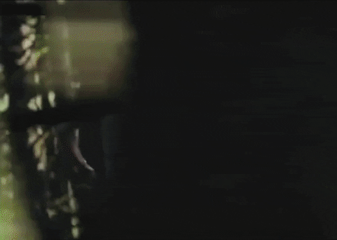 Wonder GIF by Shawn Mendes