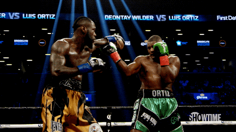 showtime boxing GIF by SHOWTIME Sports