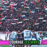 Raja Casablanca Palestine GIF