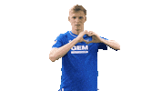 Football Love Sticker by Karlsruher SC