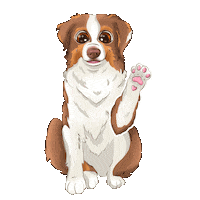 Dog Awww Sticker