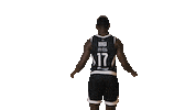 Partizan Sticker by sportmts