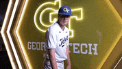 Georgia Tech Baseball GIF by Georgia Tech Yellow Jackets