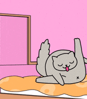 Cat Animation GIF by KETNIPZ