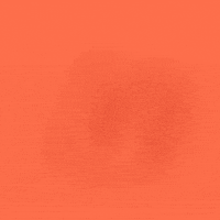 Super Bowl Chiefs GIF by INTO ACTION