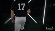 Tulane Rollwave GIF by GreenWave