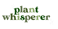 Stars Plant Lady Sticker