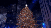 Merry Christmas GIF by NBC