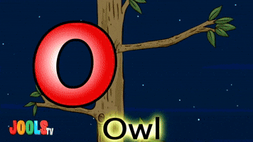 O Is For Owl
