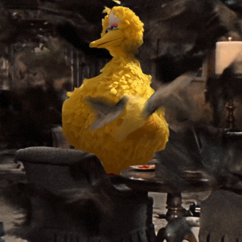 Sesame Street Bird GIF by Bell Brothers