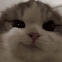 Smirk Yoko GIF