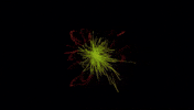 Digital Art Energy GIF by Mahism