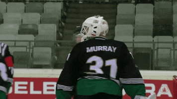 Gks Tychy Murray GIF by Champions Hockey League