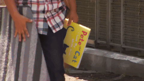 cuteanimalland giphyupload GIF