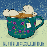 Tostoini illustration tea t shade GIF