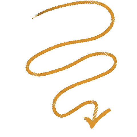 Arrows Rope Sticker
