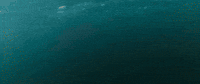 Diving Under