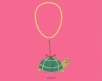 turtle GIF by Christina Lu