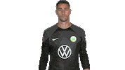 Happy Koen Casteels Sticker by VfL Wolfsburg