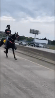 Group Gallops to Gas Station by Horse to Avoid High Petrol Prices in Dallas