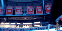 ice hockey sport GIF by NHL