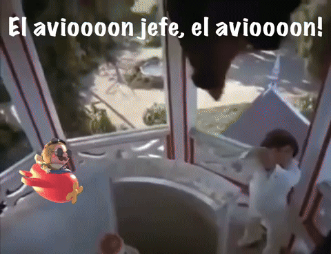 Coolturitas giphyattribution tattoo ignorar el avion GIF