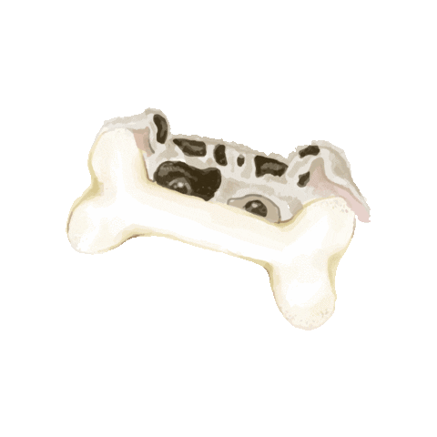 ProtectOne giphygifmaker dog bone ecopet Sticker
