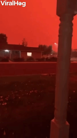 Caldor Fire Darkens Nevada Sky