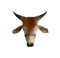 bullpec bullpec Sticker
