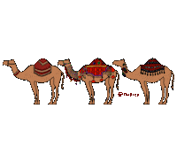 shahrco indian desert morocco aladdin Sticker