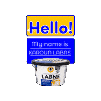 My Name Is Hello Sticker by Karoun Dairies