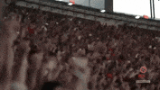flamengo st nrn nacaocrf stfla GIF