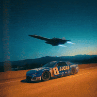Winning Kyle Busch GIF