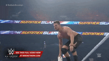 wwe sports wwe wrestling 2015 GIF