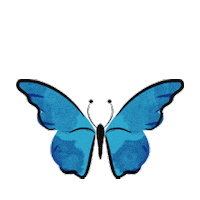 Beauty Spring Sticker