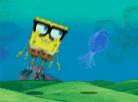 spongebob bob GIF