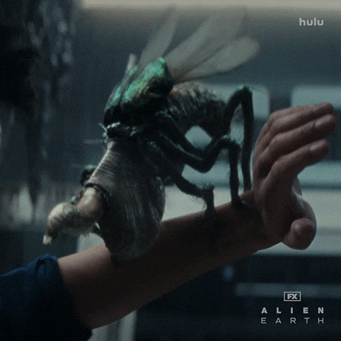 Licking Fx Networks GIF by Alien: Earth