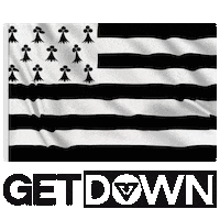 Bzh Breizh Sticker by Dj Getdown