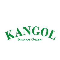 kangolkidskorea 캉골키즈 Sticker