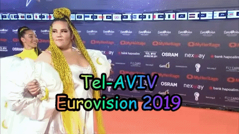 TV7ISRAELNEWS giphygifmaker eurovision israel tel aviv GIF