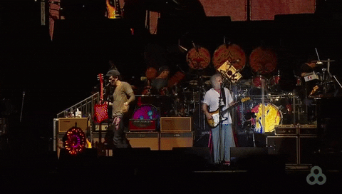 bonnaroo 2016 GIF by Bonnaroo Music and Arts Festival