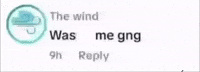 The Wind GIF