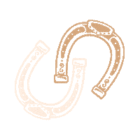Anthro Horseshoe Sticker by Anthropologie