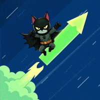 Cat Space GIF by CATBAT