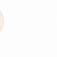 petso-llp social media 寵物 petso1992 好主人 GIF