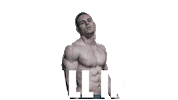 swipe up all in Sticker by Daniel Flefil