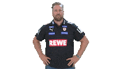 Handball-Bundesliga Pose Sticker by LIQUI MOLY HBL
