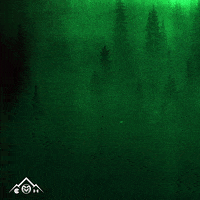 csu rams basketball GIF by Colorado State Rams